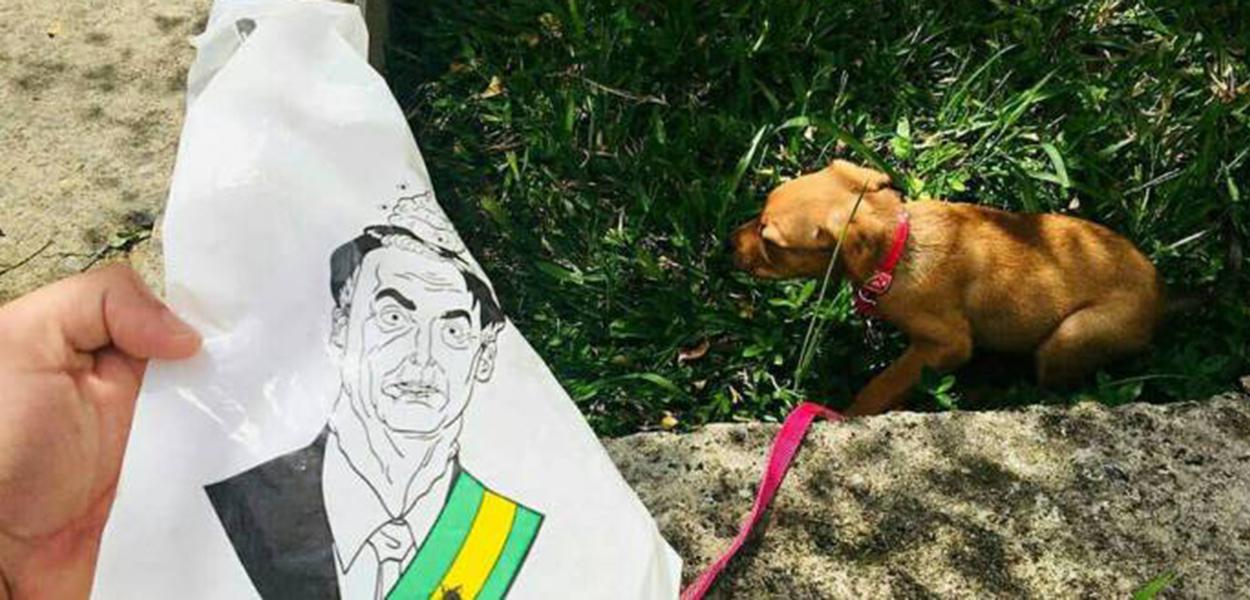 (Foto: Divulgação)
