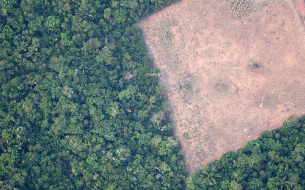 Vista de área desmatada da floresta amazônica perto de Porto Velho (Foto: REUTERS/Ueslei Marcelino) Vista de área desmatada da floresta amazônica perto de Porto Velho
