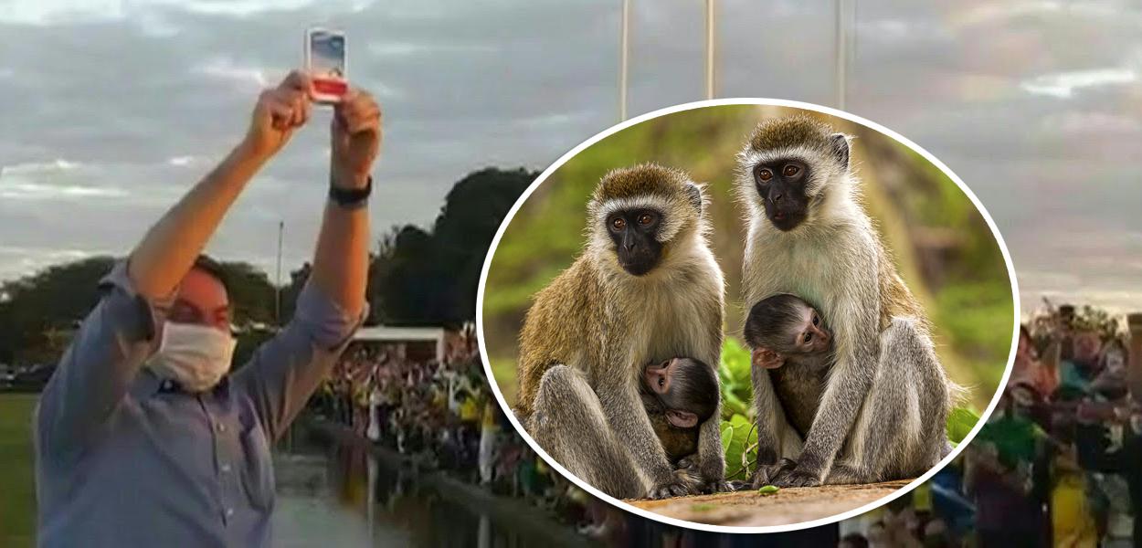 Bolsonaro mostrando caixa de cloroquina e macacos verdes da África (Foto: Reprodução) Bolsonaro mostrando caixa de cloroquina e macacos verdes da África