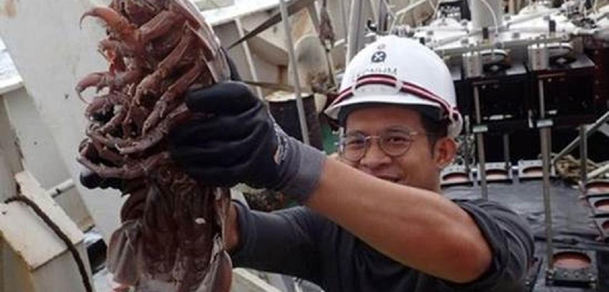 Nova espécie de barata gigante do mar é encontrada (Foto: LIPI) Nova espécie de barata gigante do mar é encontrada