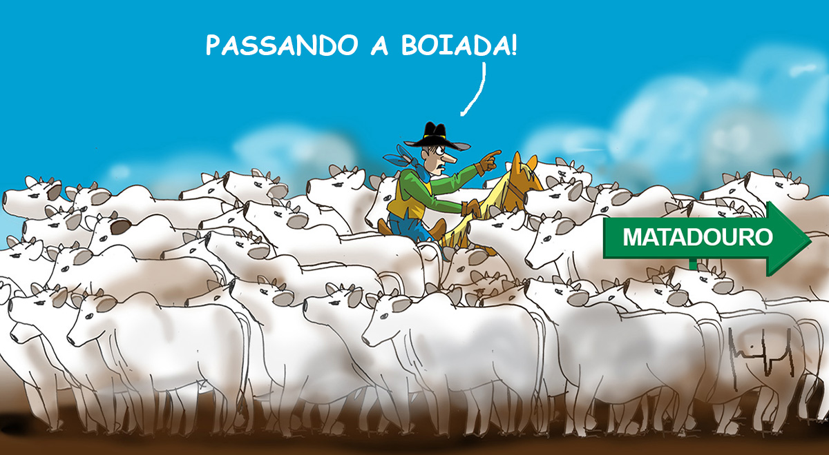 (Foto: Miguel Paiva)