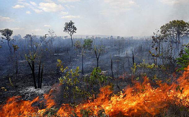 Aumenta desmatamento no Cerrado (Foto: Agência Fapesp) Aumenta desmatamento no Cerrado