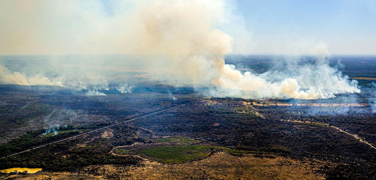 Ação humana provocou incêndio no Mato Grosso (Foto: Mayke Toscano) Ação humana provocou incêndio no Mato Grosso