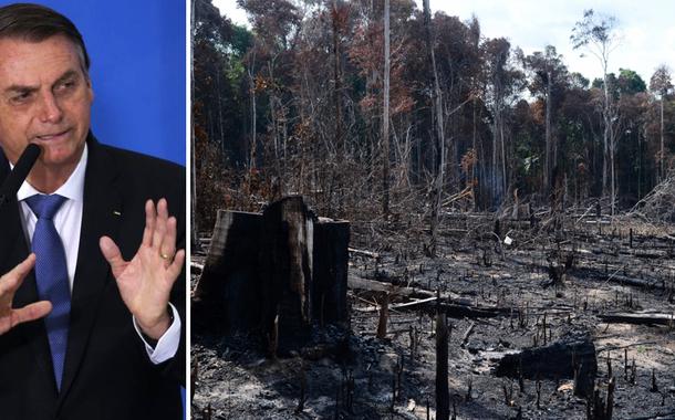Desmatamento da Amazônia explode no governo Bolsonaro