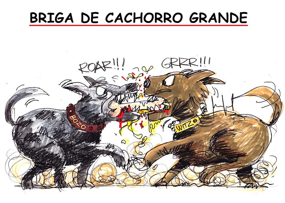 www.brasil247.com - { imgCaption }}