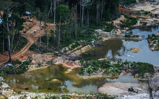 (Foto: Vinícius Mendonça/Ibama)