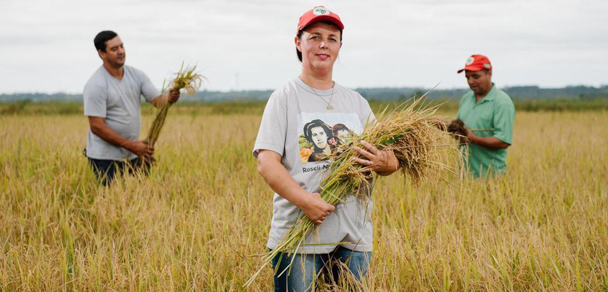 Assentados do MST sob risco de despejo produzem frutas, hortaliças e feijão. Tudo sem agrotóxico (Foto: Alex Garcia/MST) Assentados do MST sob risco de despejo produzem frutas, hortaliças e feijão. Tudo sem agrotóxico