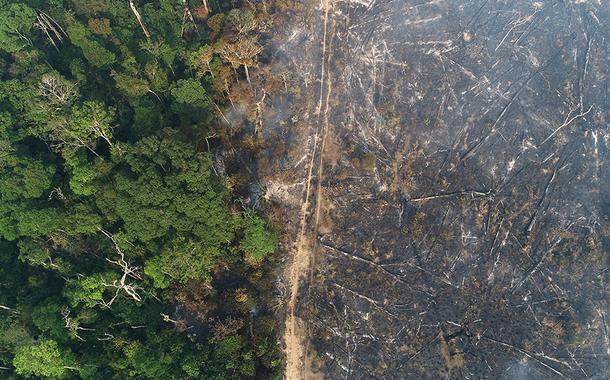 Vista aérea da Amazônia após queimadas perto de Apuí, no Amazonas (Foto: REUTERS/Ueslei Marcelino) Vista aérea da Amazônia após queimadas perto de Apuí, no Amazonas