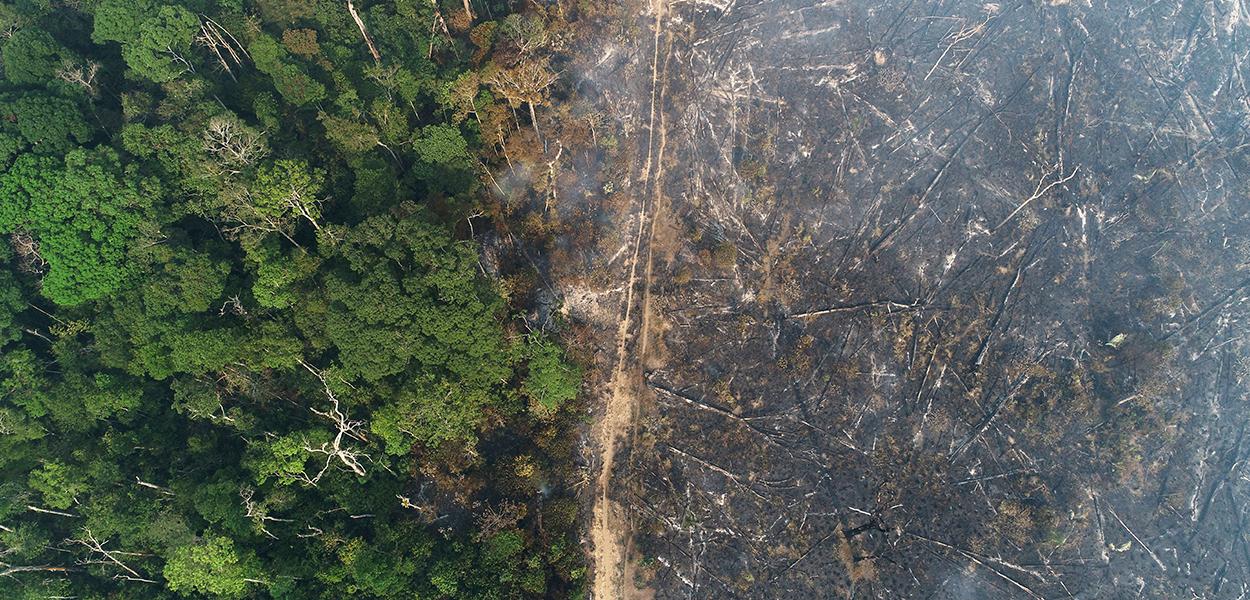 Vista aérea da Amazônia após queimadas perto de Apuí, no Amazonas (Foto: REUTERS/Ueslei Marcelino) Vista aérea da Amazônia após queimadas perto de Apuí, no Amazonas