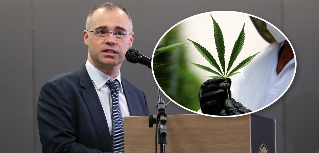 André Mendonça e folha de cannabis (Foto: Marcos Corrêa/PR | Reuters) André Mendonça e folha de cannabis