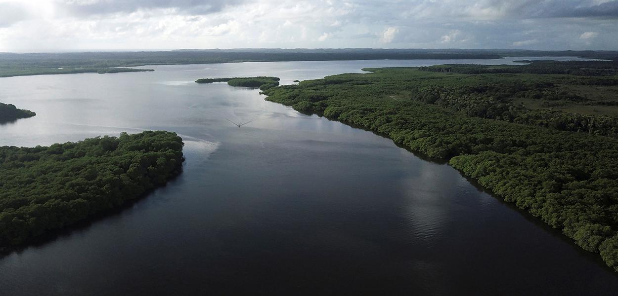 Vista de manguezal no rio Caratingui, em Cairu, Bahia. 5/4/2019 (Foto: REUTERS/Nacho Doce) Vista de manguezal no rio Caratingui, em Cairu, Bahia. 5/4/2019