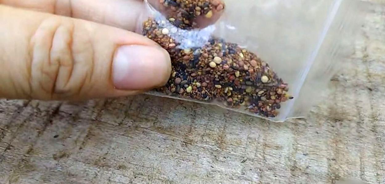 Moradora de Itapetininga (SP) recebeu pacote com sementes misteriosas após compra em site chinês — Foto: Reprodução/TV TEM Moradora de Itapetininga (SP) recebeu pacote com sementes misteriosas após compra em site chinês — Foto: Reprodução/TV TEM