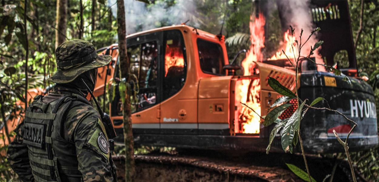 (Foto: Vinícius Mendonça/Ibama)