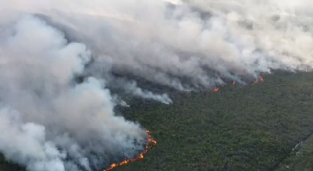 Incêndio na Chapada Diamantina (Foto: Reprodução / TV Bahia) Incêndio na Chapada Diamantina