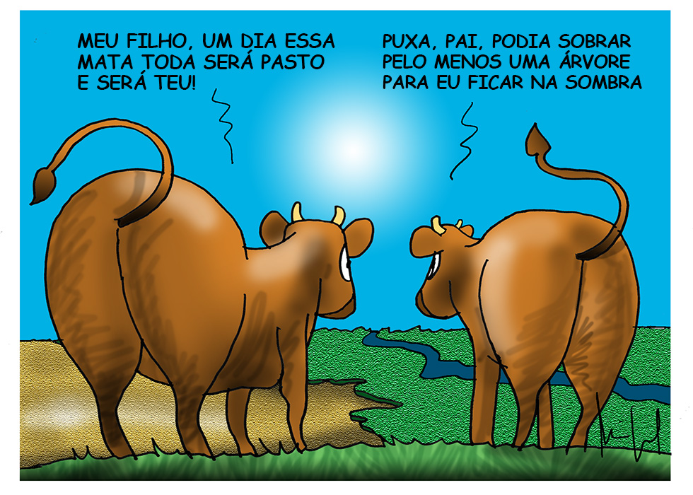 (Foto: Miguel Paiva)