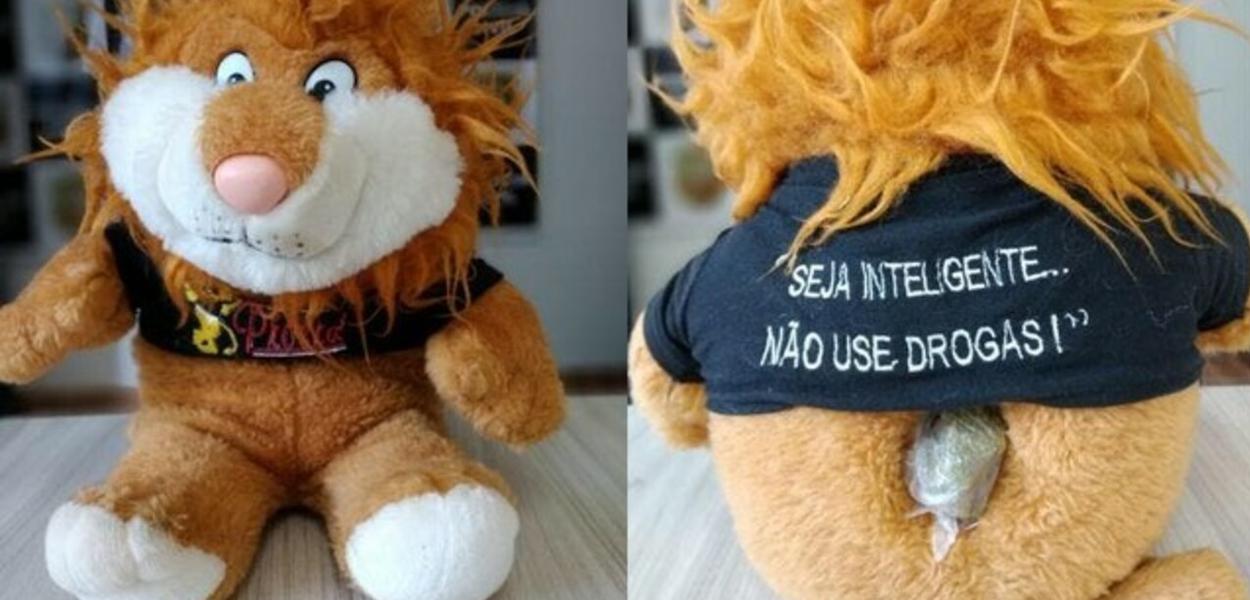 Polícia apreende maconha escondida em mascote de programa antidrogas da PM de SC (Foto: Polícia Civil/Divulgação) Polícia apreende maconha escondida em mascote de programa antidrogas da PM de SC