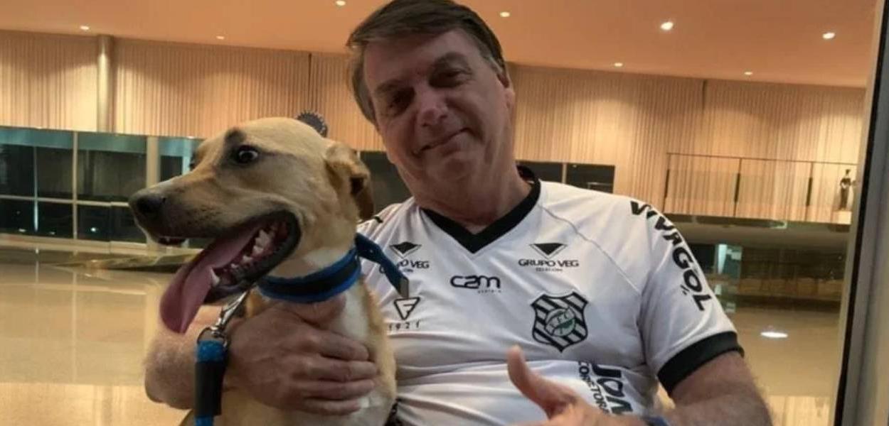 (Foto: Reprodução)