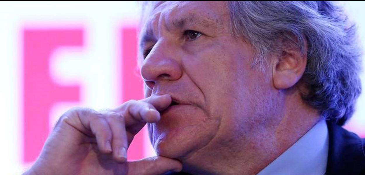 Luis Almagro, da OEA (Foto: Edgard Garrido/Reuters) Luis Almagro, da OEA