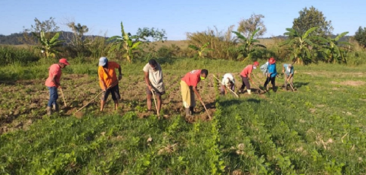 Assentados do MST sob risco de despejo produzem frutas, hortaliças e feijão. Tudo sem agrotóxico (Foto: MST) Assentados do MST sob risco de despejo produzem frutas, hortaliças e feijão. Tudo sem agrotóxico
