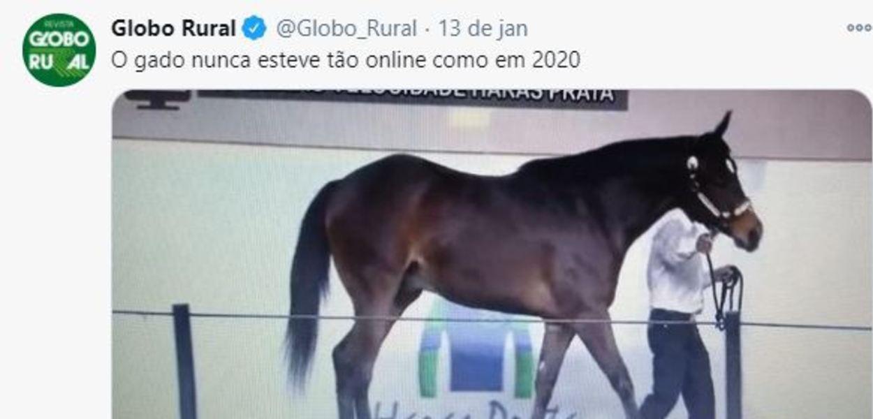 (Foto: Reprodução)