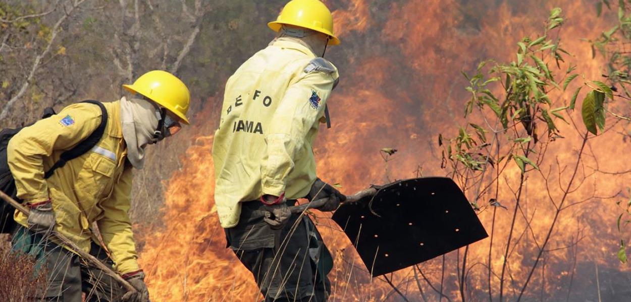 (Foto: Vinícius Mendonça/Ibama)