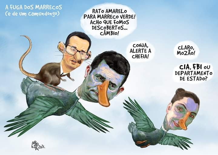 (Foto: Renato Aroeira)