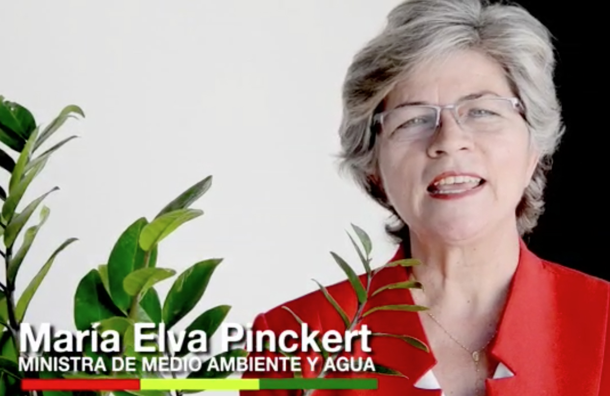 (Foto: Reprodução)