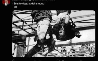 (Foto: Reprodução)
