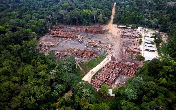 Amazônia (Foto: PF / Amazônia Real / Fotos Públicas) Amazônia
