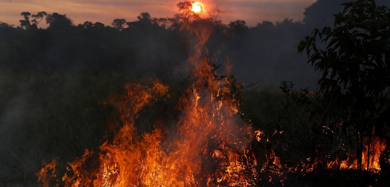 Queimadas no Amazonas (Foto: Reuters) Queimadas no Amazonas