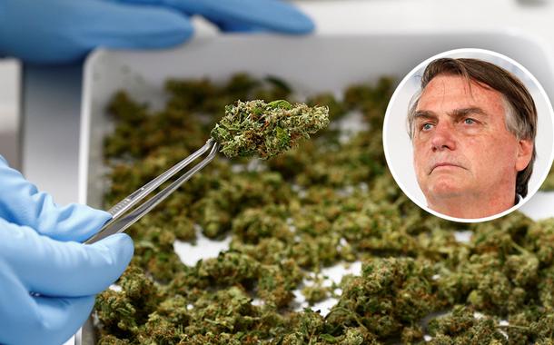 Maconha medicinal e Jair Bolsonaro (Foto: Reuters | Alan Santos/PR) Maconha medicinal e Jair Bolsonaro