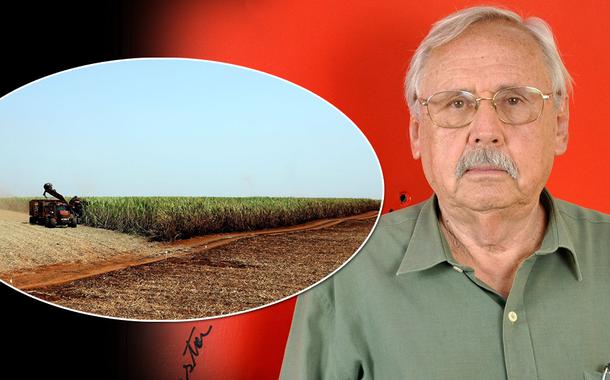 Ladislou Dowbor / agronegócio (Foto: Felipe L. Gonçalves/Brasil247 | ABr) Ladislou Dowbor / agronegócio