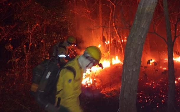 Bombeiros combatendo o fogo no Pantanal de MS (Foto: Corpo de Bombeiros/Divulgação) Bombeiros combatendo o fogo no Pantanal de MS