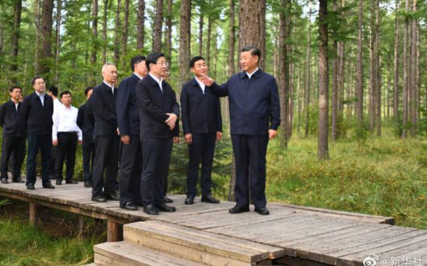 Xi Jinping em visita a região florestal (Foto: Mídia chinesa) Xi Jinping em visita a região florestal