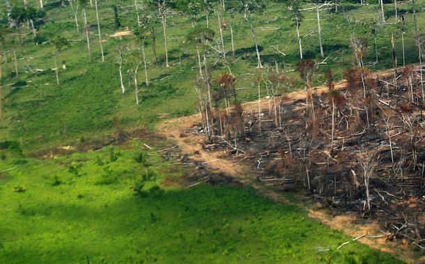 Vista aérea de área desmatada da Amazônia em Rondônia. 28/09/2021 (Foto: REUTERS/Adriano Machado) Vista aérea de área desmatada da Amazônia em Rondônia. 28/09/2021