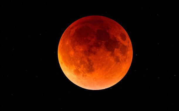 (Foto: Reprodução (Shutterstock))