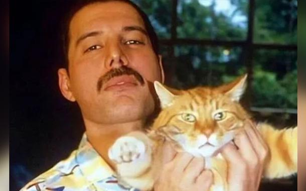 Fred Mercury (Foto: Reprodução/Instagram) Fred Mercury