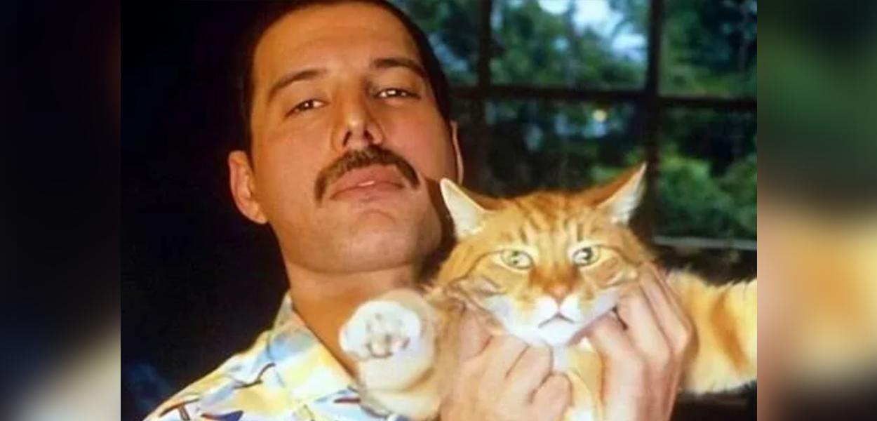 Fred Mercury (Foto: Reprodução/Instagram) www.brasil247.com - Fred Mercury