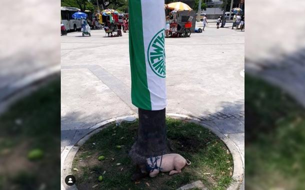 (Foto: Reprodução)