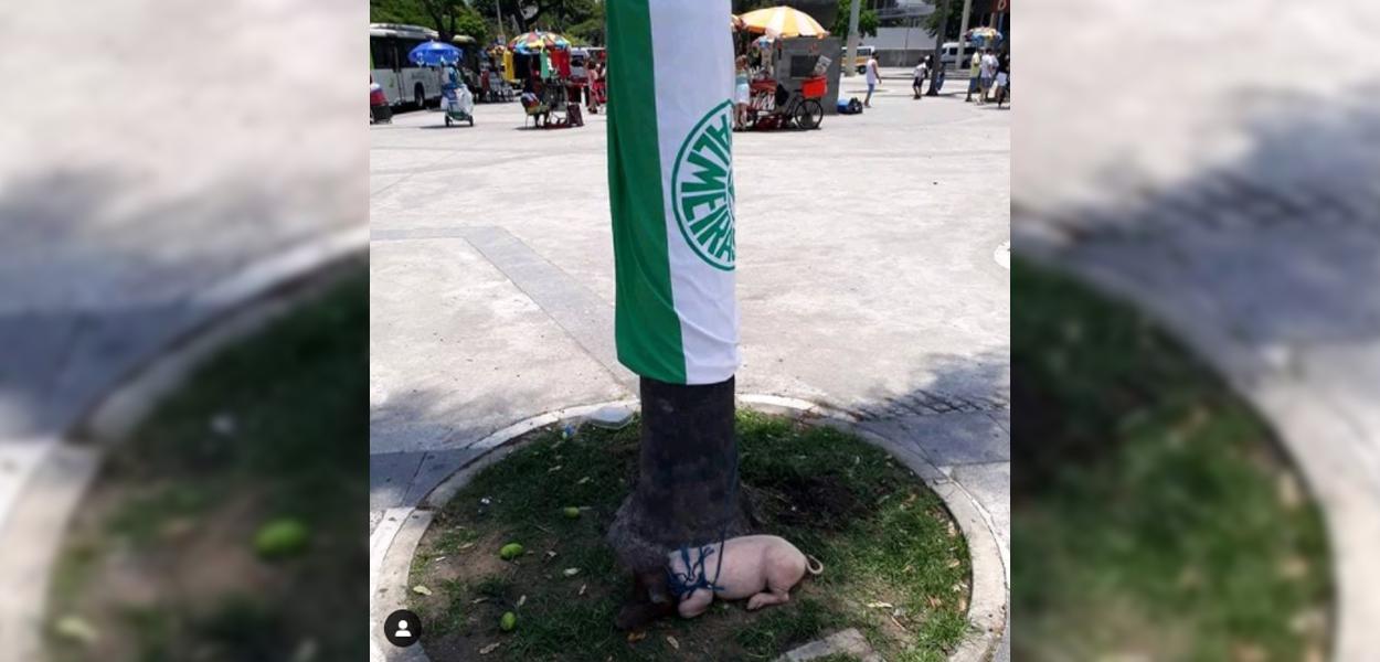 (Foto: Reprodução)