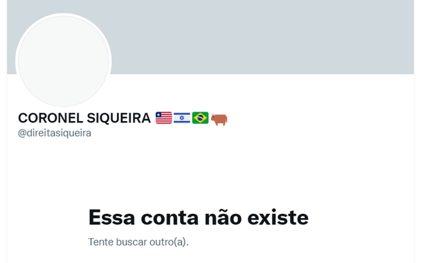 (Foto: Reprodução)