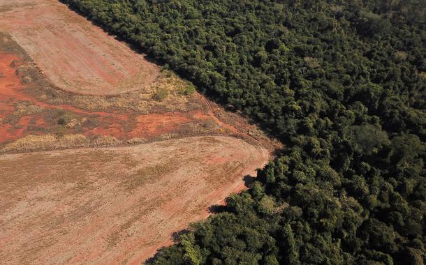 Vista aérea de área desmatada da Amazônia no Mato Grosso (Foto: REUTERS/Amanda Perobelli) Vista aérea de área desmatada da Amazônia no Mato Grosso