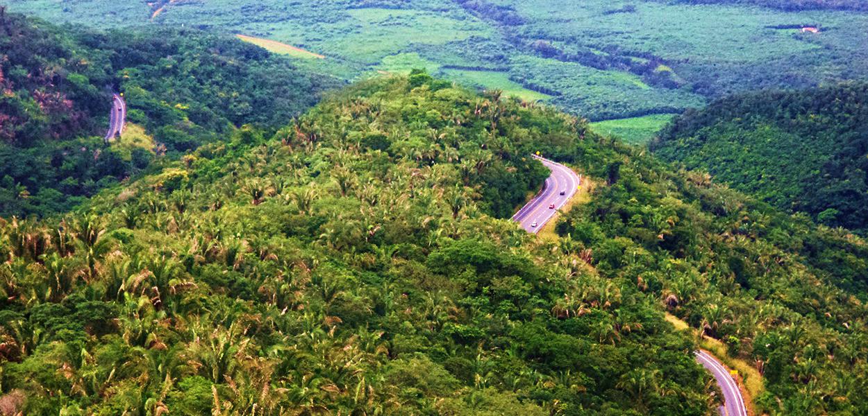 Serra da Ibiapaba (Foto: GLandovsky/CC BY-SA 3.0) www.brasil247.com - Serra da Ibiapaba