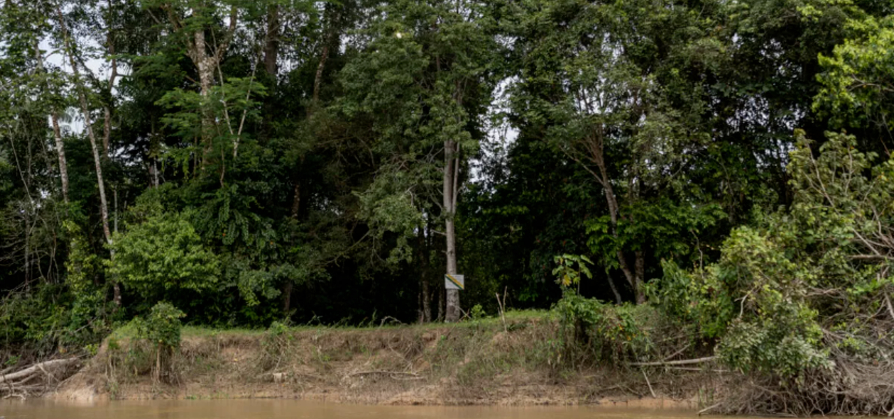 vale-do-javari-amazonia