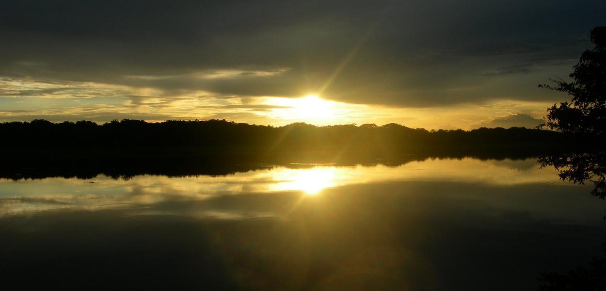 Reserva de Mamirauá, Tefé, AM (Foto: Rubens Ramos Mendonça) www.brasil247.com - Reserva de Mamirauá, Tefé, AM