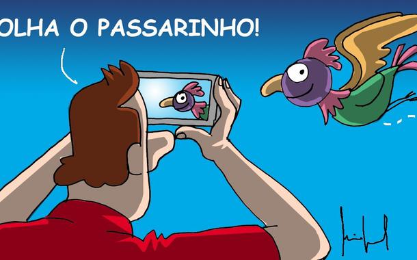 (Foto: Miguel Paiva)