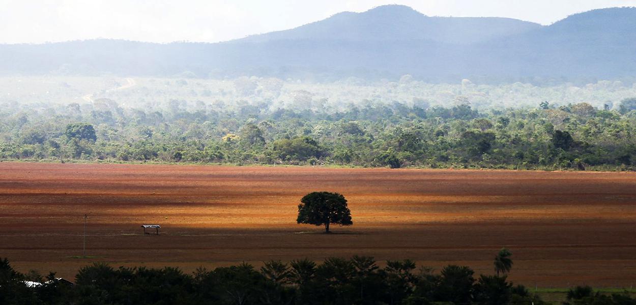 Alto Paraíso (GO) - Área de cerrado desmatada para plantio no município de Alto Paraíso (Foto: Marcelo Camargo/Agência Brasil) www.brasil247.com - Alto Paraíso (GO) - Área de cerrado desmatada para plantio no município de Alto Paraíso