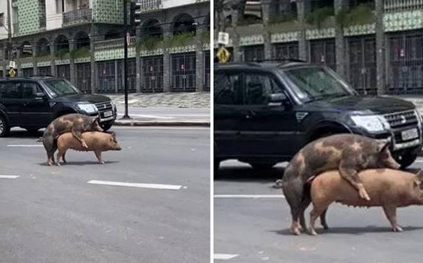 (Foto: Reprodução)