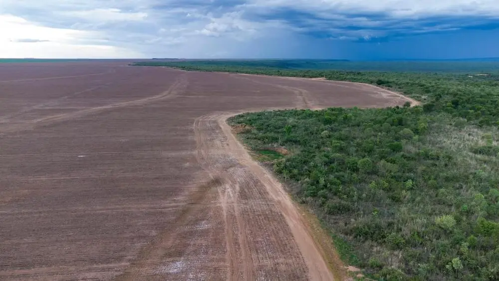 Fronteira da Fazenda Estrondo, uma vasta propriedade no centro de um dos maiores casos de grilagem do Brasil