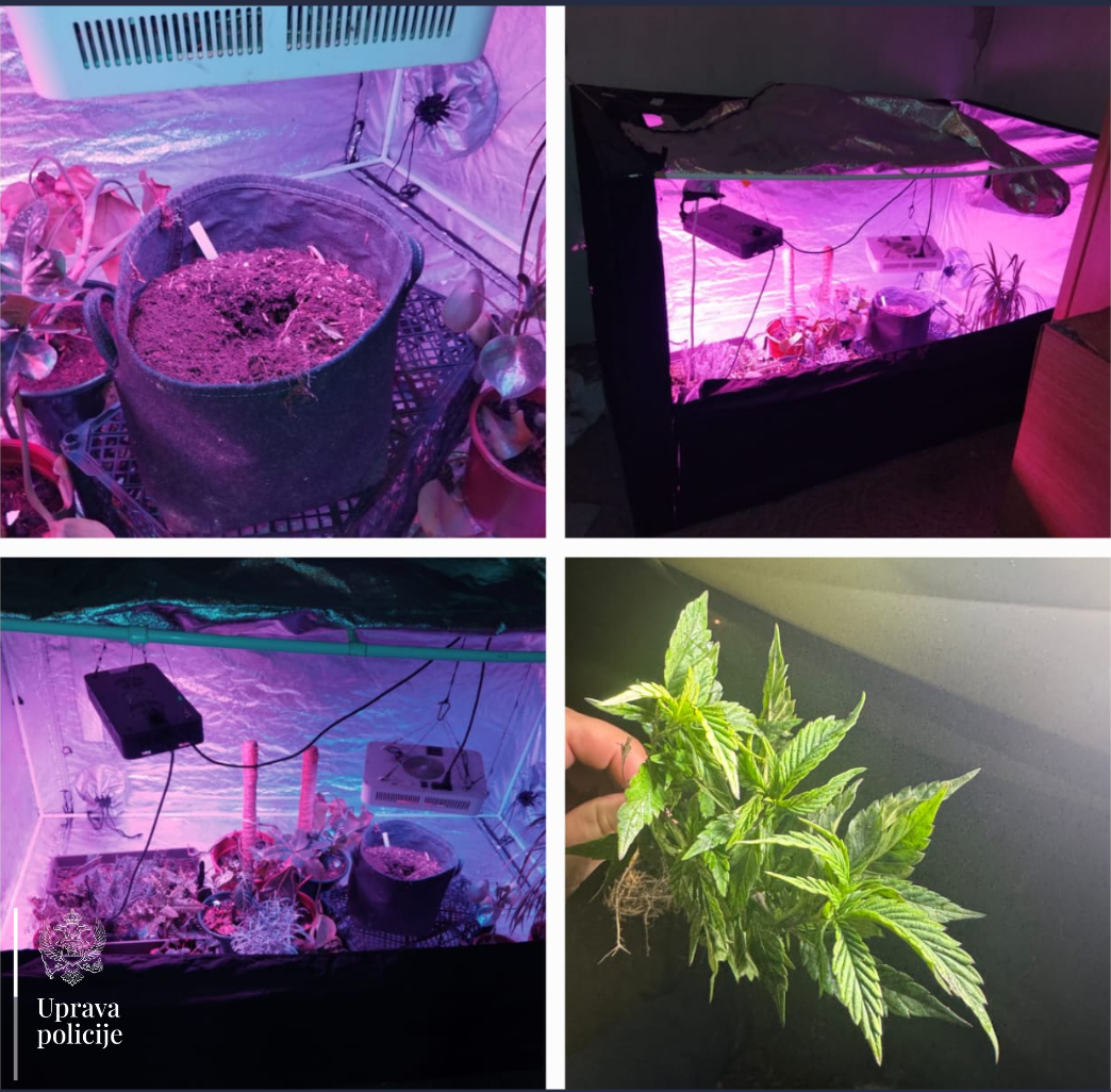 Laboratorija marihuane u Danilovgradu (Foto: Uprava policije)